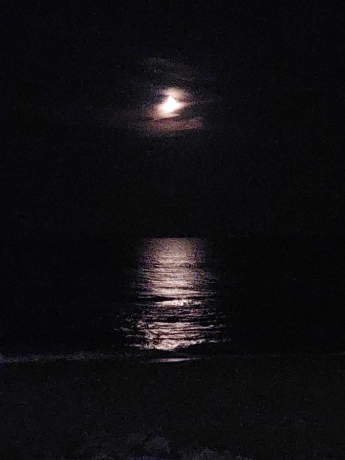 Casamare *